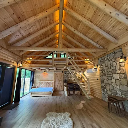 Hara Bickidere Akyazi (Sakarya)