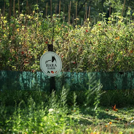 Hara Bickidere Шале *