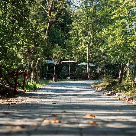 Hara Bıçkıdere Akyazi (Sakarya)
