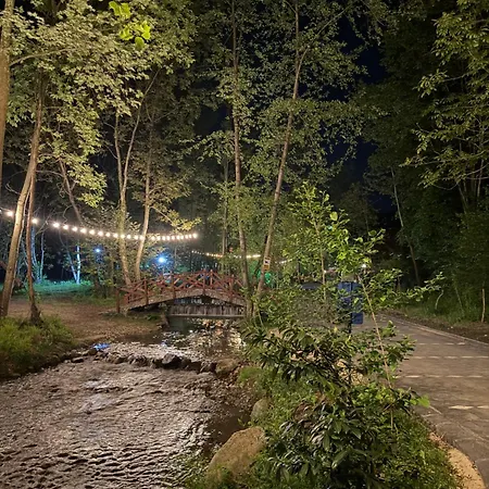Hara Bıçkıdere Dağ evi Akyazi (Sakarya)