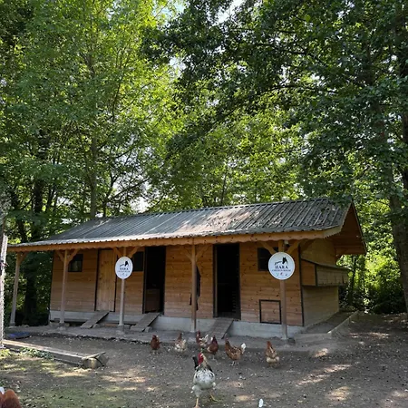 Hara Bıçkıdere Dağ evi Akyazi (Sakarya)