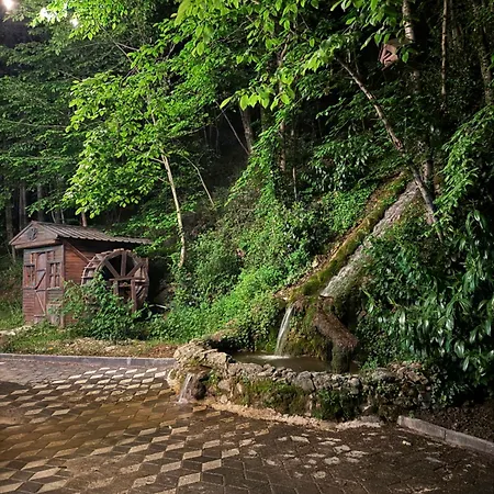 Hara Bıçkıdere Akyazi (Sakarya)