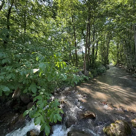 Hara Bıçkıdere Dağ evi Akyazi (Sakarya)