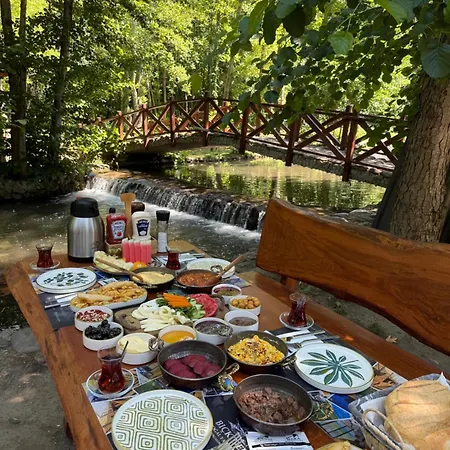 Hara Bıçkıdere Akyazi (Sakarya)