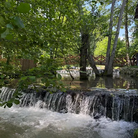 Hara Bıçkıdere Akyazi (Sakarya)