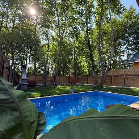 Hara Bıçkıdere Akyazi (Sakarya)