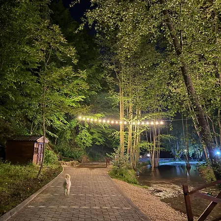 Hara Bıçkıdere Dağ evi Akyazi (Sakarya)