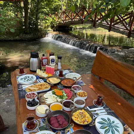 Dağ evi Hara Bıçkıdere Akyazi (Sakarya)