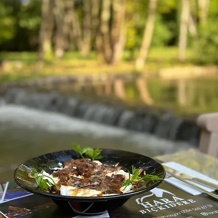 Hara Bickidere 木屋 Akyazi (Sakarya)