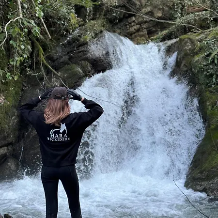 Hara Bickidere 木屋 *