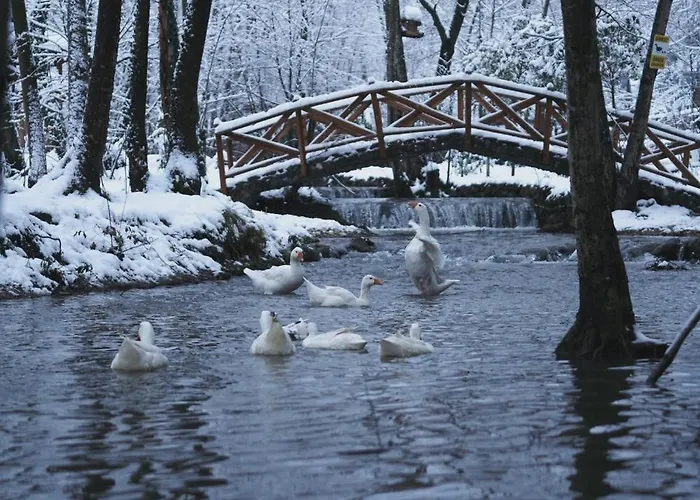 Hara Bickidere * Akyazi (Sakarya)