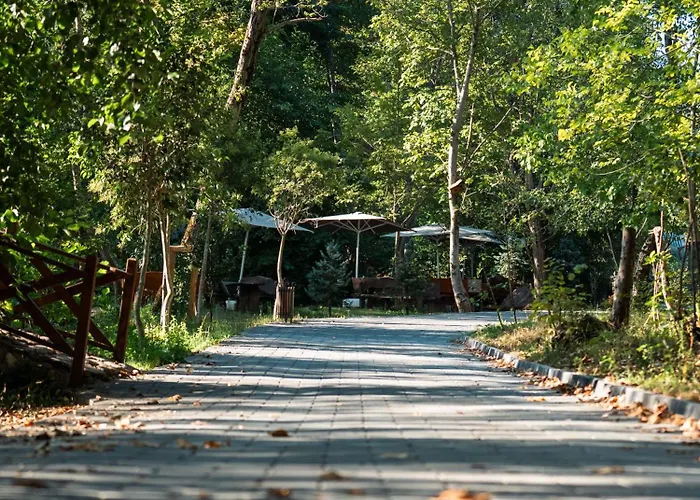 Hara Bickidere Akyazi (Sakarya)