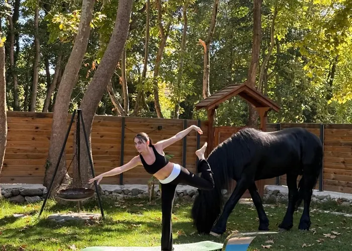 Hara Bickidere 木屋 Akyazi (Sakarya)