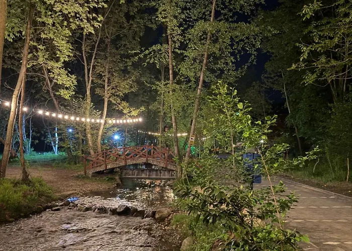 Hara Bickidere 木屋 Akyazi (Sakarya)