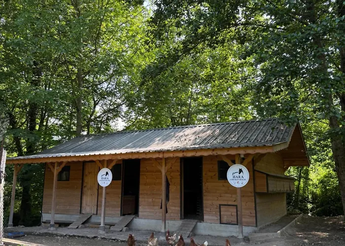 Hara Bickidere Шале Akyazi (Sakarya)