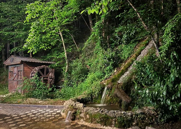 Hara Bickidere Akyazi (Sakarya)