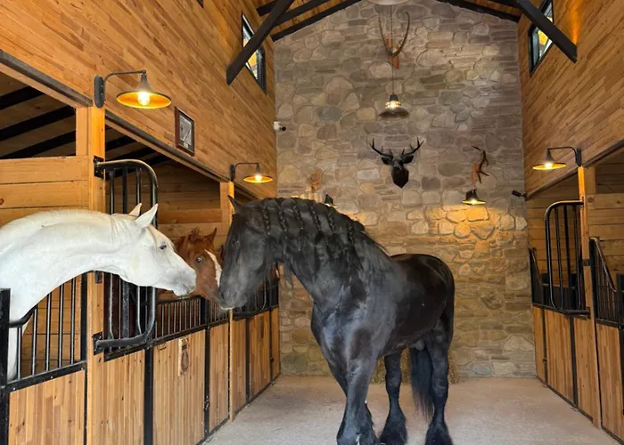 Hara Bickidere 木屋 *