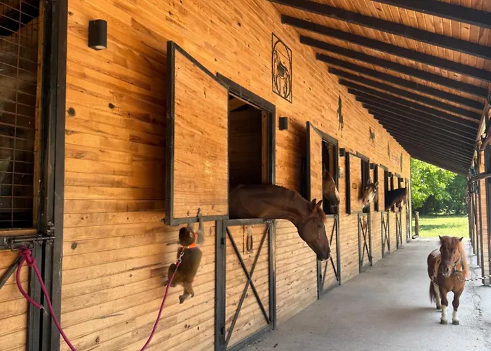 Hara Bickidere 木屋 *