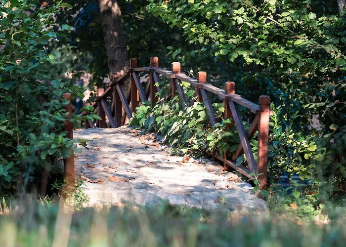 Hara Bickidere 木屋 Akyazi (Sakarya)