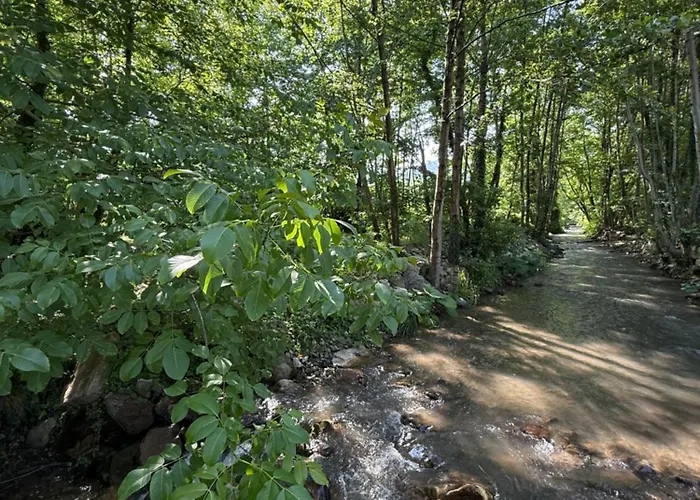 Hara Bickidere 木屋 Akyazi (Sakarya)