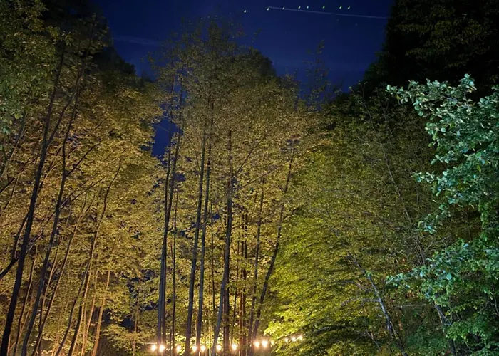 Hara Bickidere * Akyazi (Sakarya)