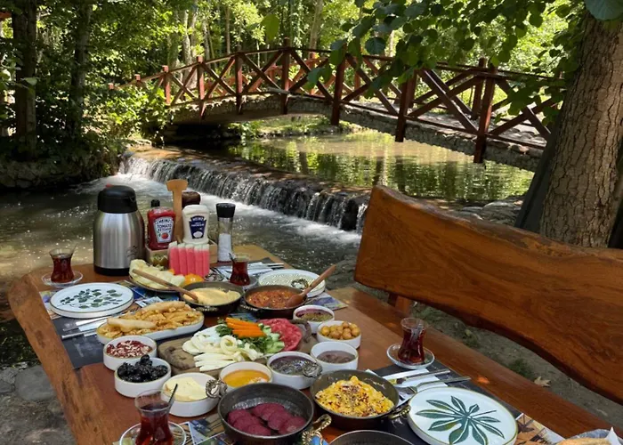 Hara Bickidere Akyazi (Sakarya)