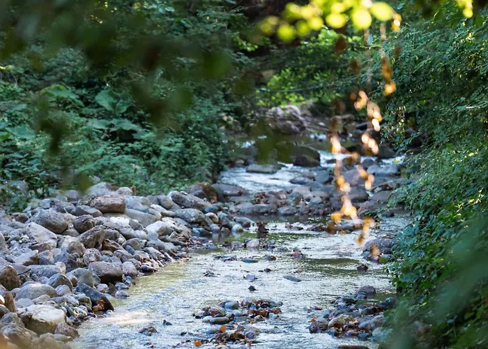 Hara Bickidere 木屋 *