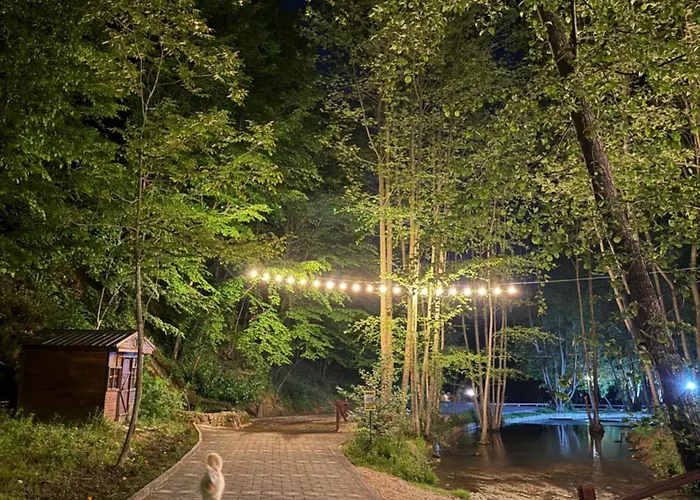 Hara Bickidere 木屋 Akyazi (Sakarya)