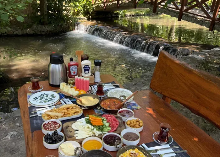 Шале Hara Bickidere Akyazi (Sakarya)