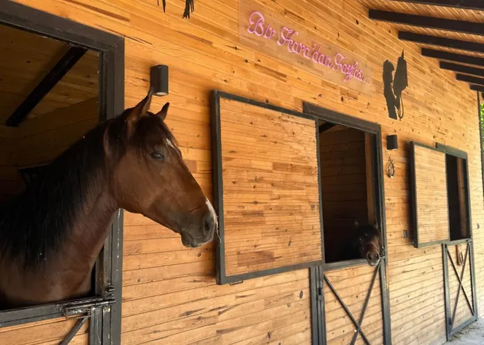 Шале Hara Bickidere *