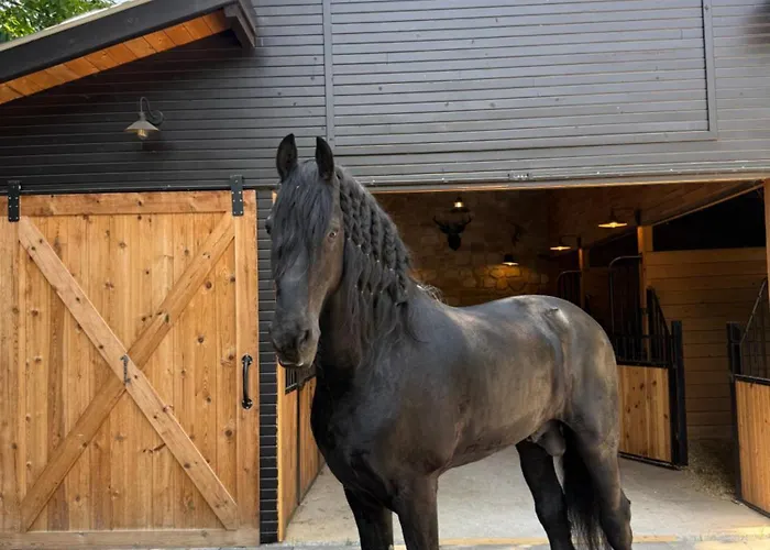 木屋 Hara Bickidere *