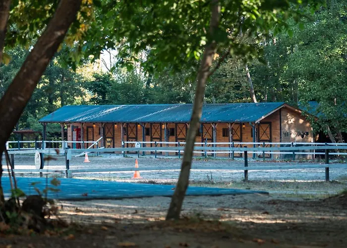 木屋 Hara Bickidere *