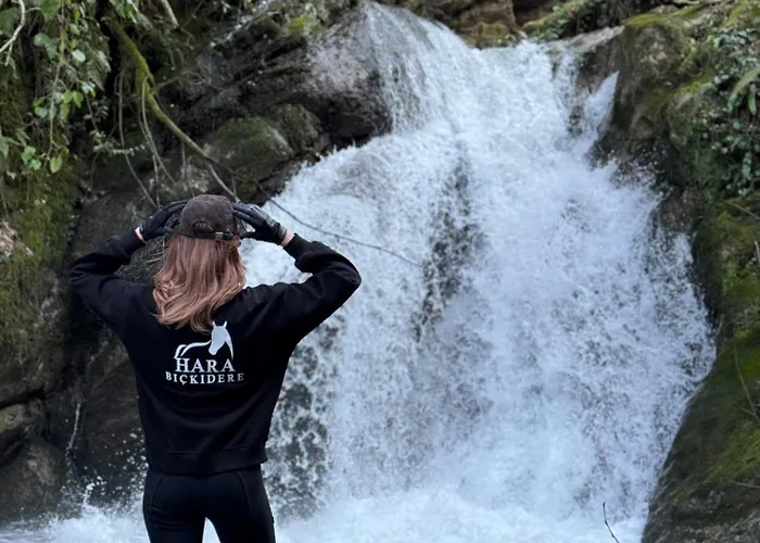 Hara Bickidere Шале *