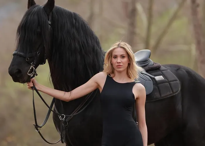 Hara Bickidere Шале