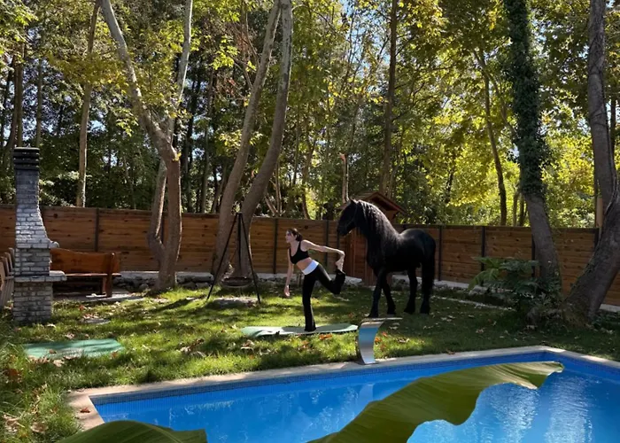 Hara Bickidere Шале Akyazi (Sakarya)