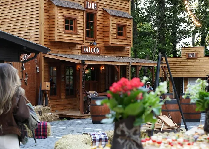 木屋 Hara Bickidere Akyazi (Sakarya)